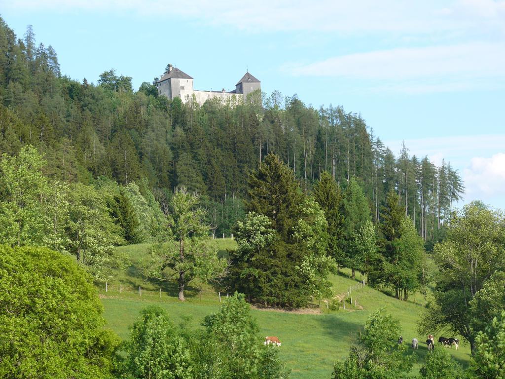Gasthof Hubertus Saalfelden Rum bild